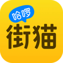 街猫