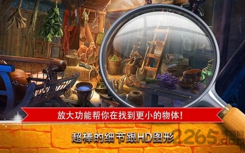 Mystery Castle Mystery Castle