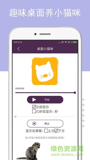 猫狗语翻译器