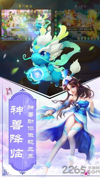 灵仙决 灵仙决