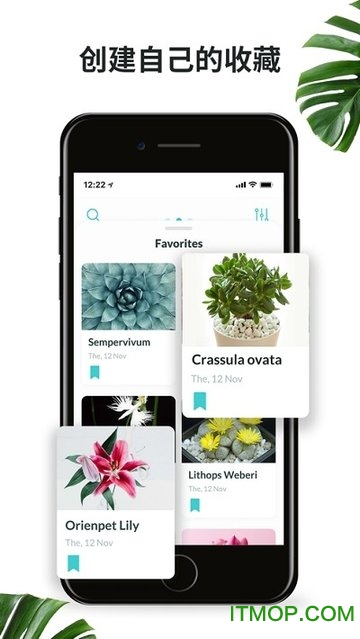 plantnet植物识别