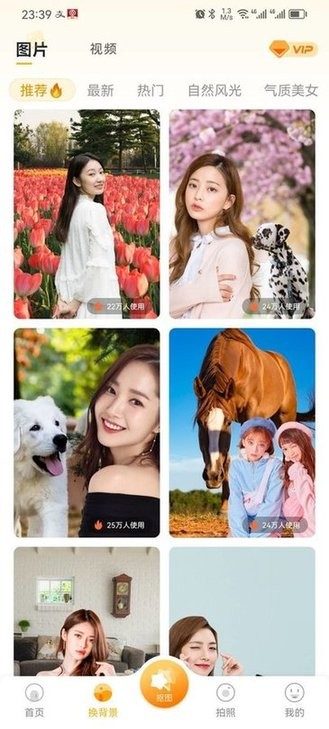 柠檬P图