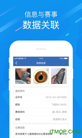 中国信鸽协会赛事直播