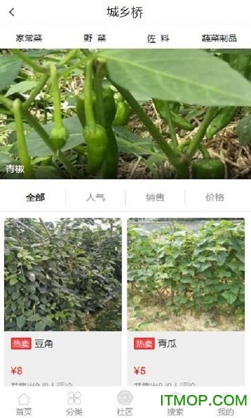城乡桥