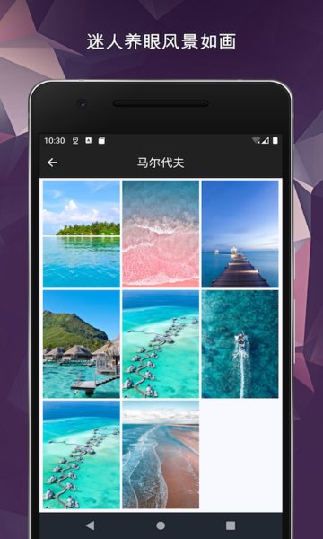 壁纸秀-高清动态壁纸大全