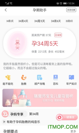 豹造孕育 豹造孕育