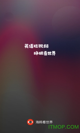海鸥看世界
