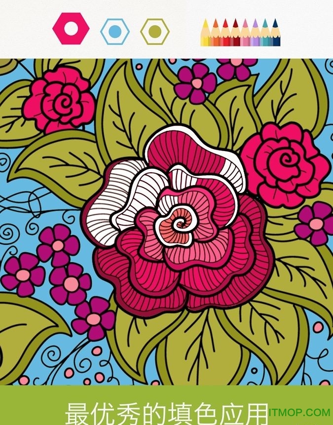 Colorfy plus(涂色游戏)