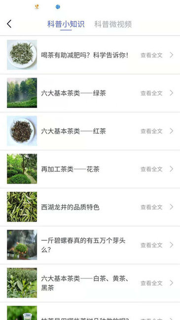 中国茶叶学会 中国茶叶学会