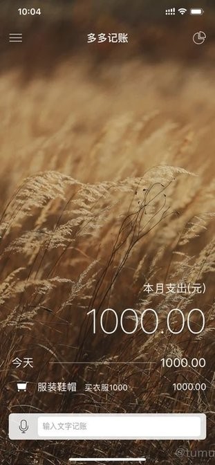 多多记账苹果手机版