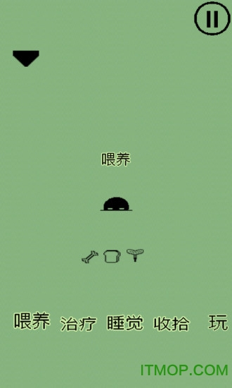我的像素宠物 我的像素宠物