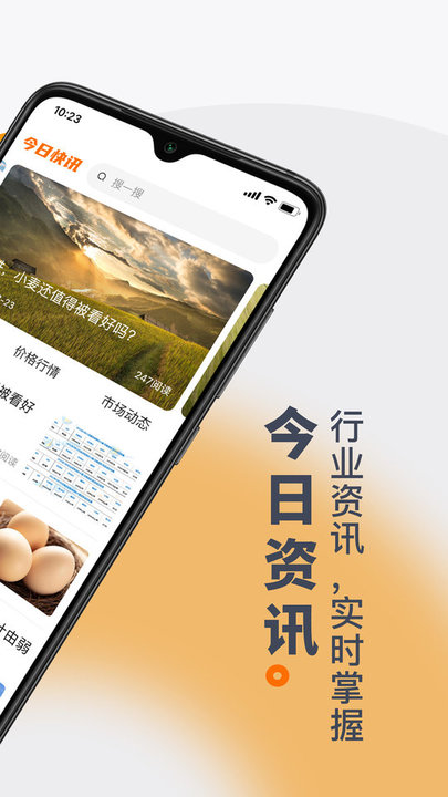 找粮app 找粮app