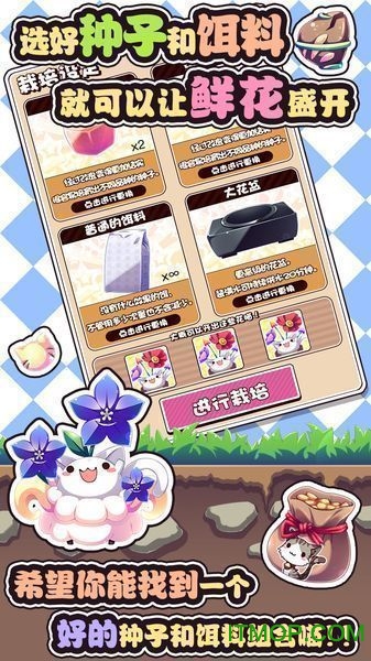 猫咪花盆