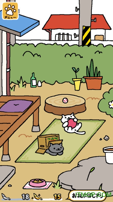 猫咪后院中文版ios版