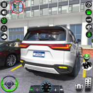 CAR_DRIVING_2023