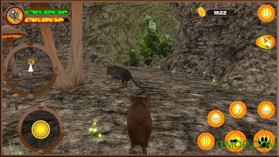 新老鼠模拟器 新老鼠模拟器