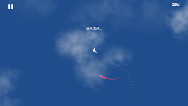 Sky Bird天之鸟