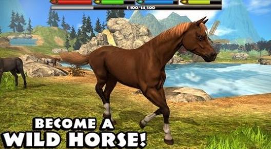 终极马匹模拟器(UltimateHorse)