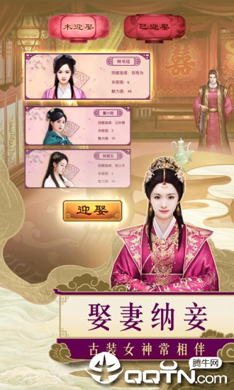 一品包大人