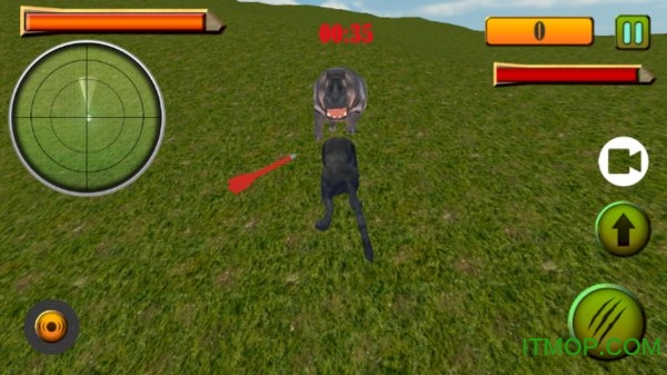 Wild Black Panther Simulator