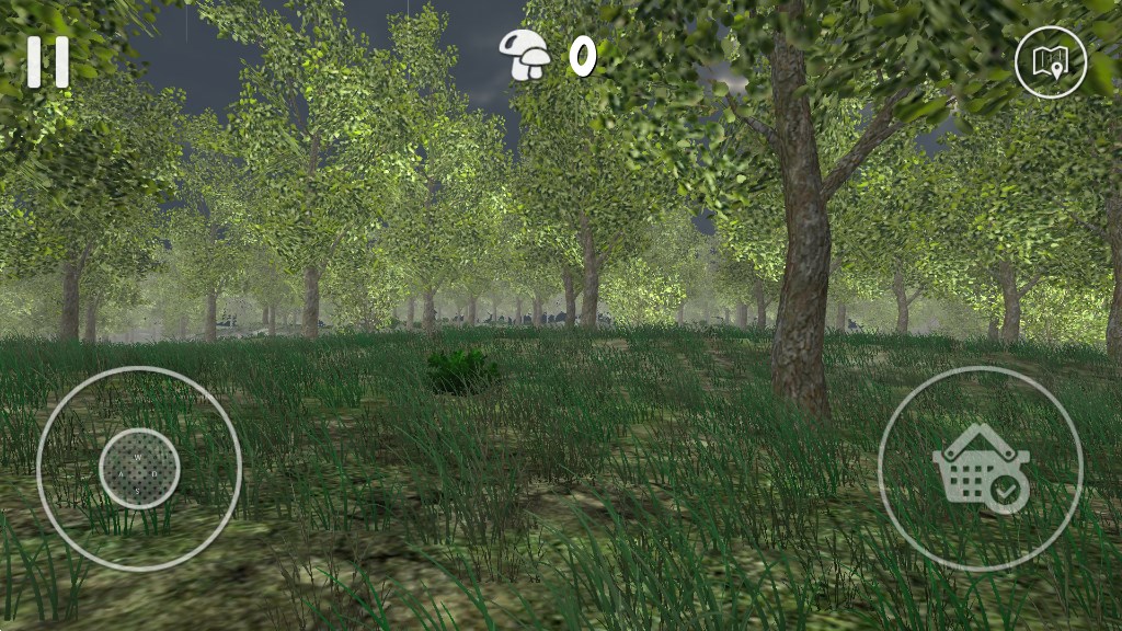 真实采蘑菇模拟器(Real Mushroom Hunting) 真实采蘑菇模拟器(Real Mushroom Hunting)