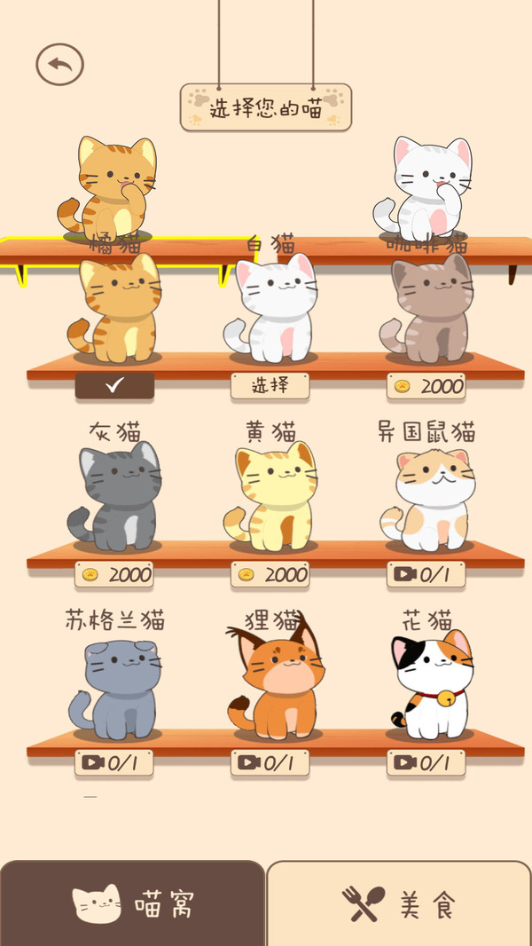 夏天的乐队 夏天的乐队