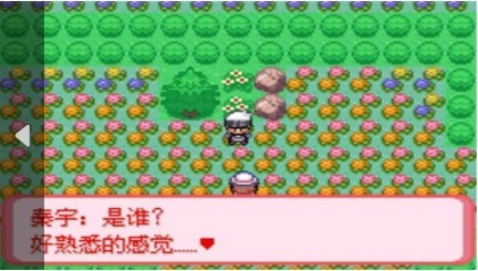 口袋妖怪极光石