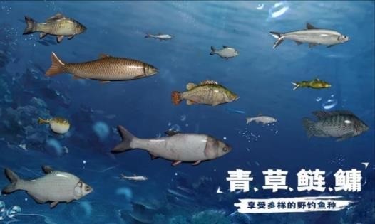 天天钓鱼内置作弊菜单版
