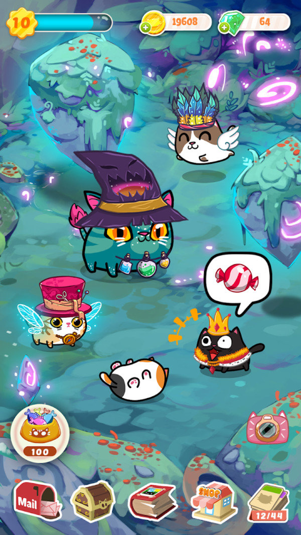 名贵猫咪 名贵猫咪