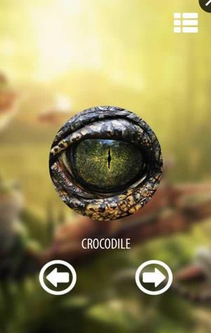 Vision animal simulator(动物眼睛看到的世界游戏安卓版)