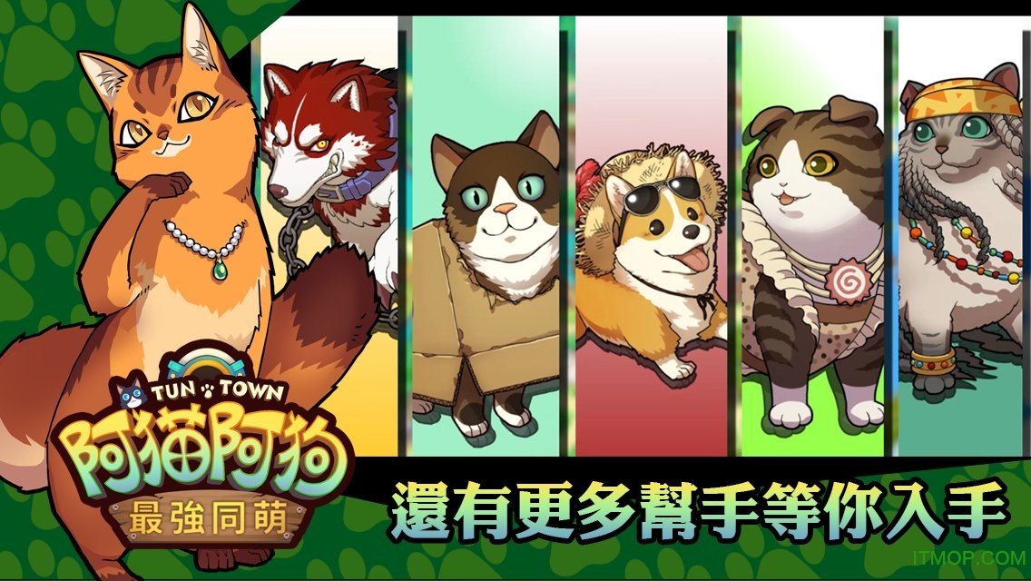 阿貓阿狗