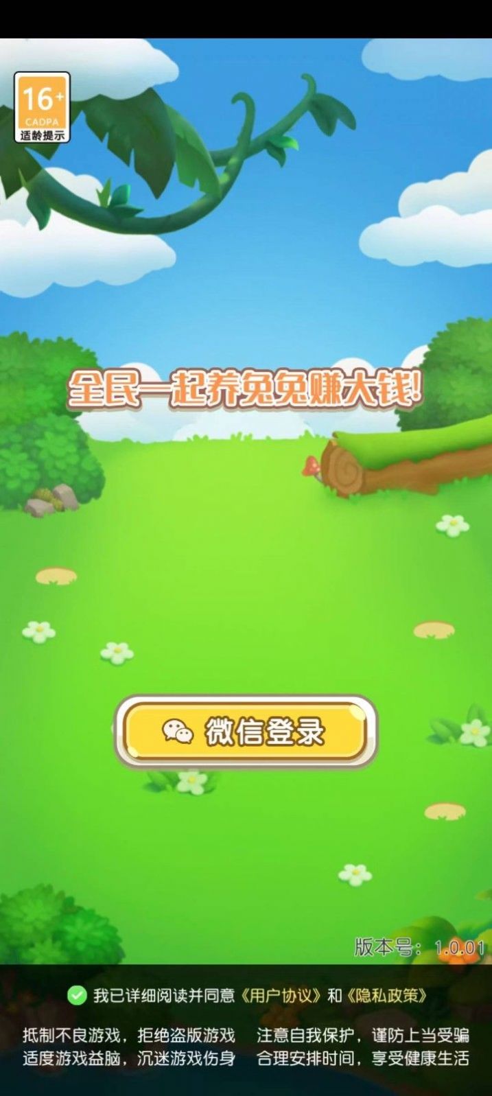 可爱的兔子 可爱的兔子