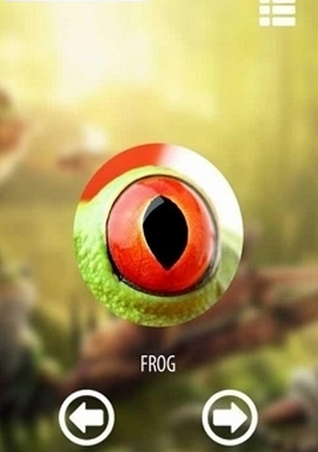Vision animal simulator(动物眼睛看到的世界游戏安卓版) Vision animal simulator(动物眼睛看到的世界游戏安卓版)