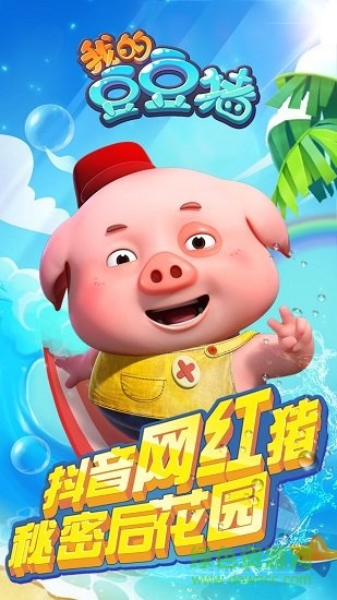 我的豆豆猪 我的豆豆猪