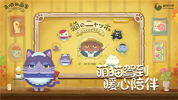 Starry Whiskers安装器