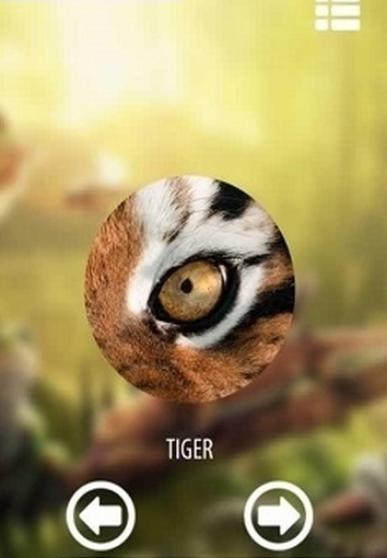 Vision animal simulator(动物眼睛看到的世界游戏安卓版)