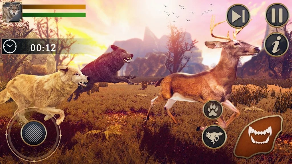 野狼动物模拟器(The Wild Wolf Animal Simulator)
