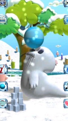 会说话的海豹(Talking Seal)