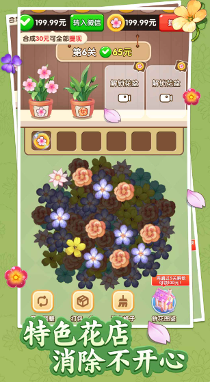 花开富贵 花开富贵