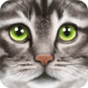 RTK_UltCatSim