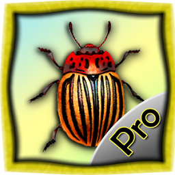 Warrior Bugs (Pro)