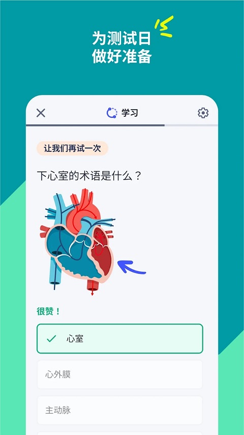 Quizlet安卓版2025最新版