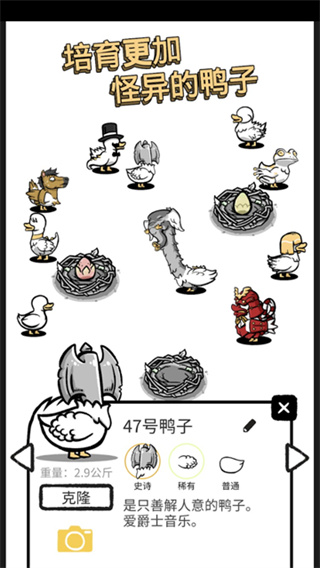 怪鸭世界无广告