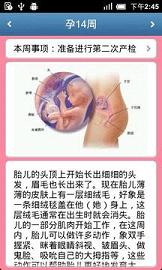 预产期计算器 预产期计算器