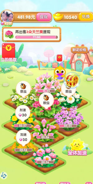 四季养花 四季养花