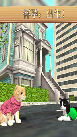 猫咪模拟器全道具解锁版