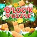 方块拼图仙境(Block Puzzle Wonderland)