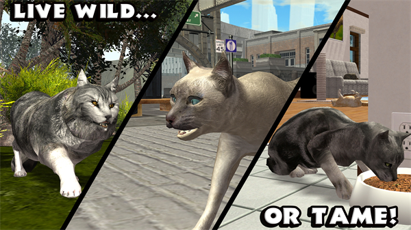 RTK_UltCatSim
