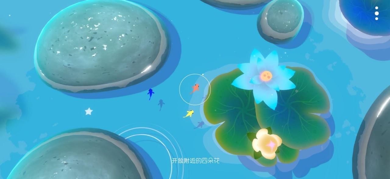 鲤 重制版
