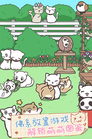 猫咪饲养日常 猫咪饲养日常